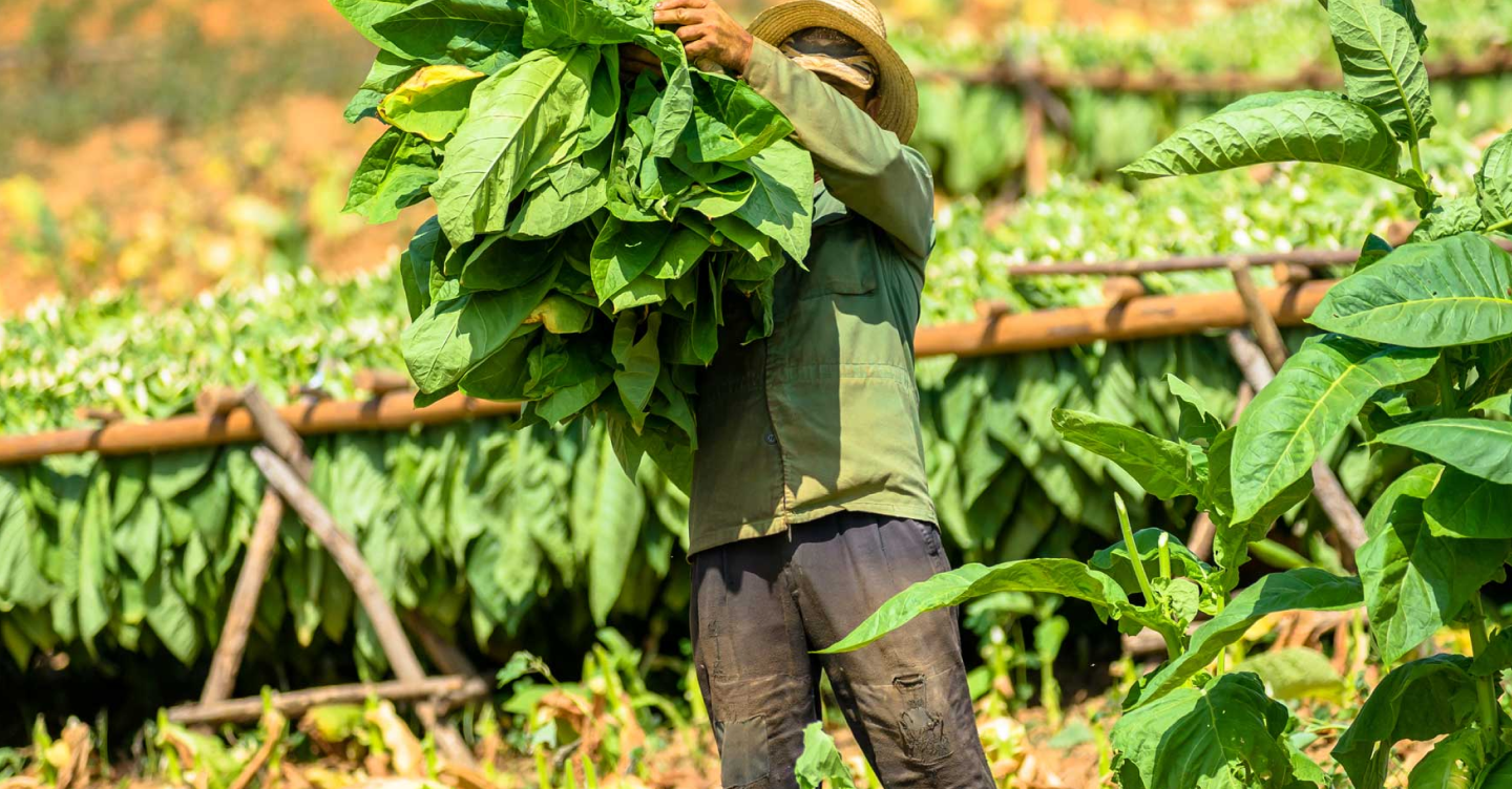 <strong>Vinataba Hải Phòng</strong><span>32 năm hội nhập và phát triển</span>